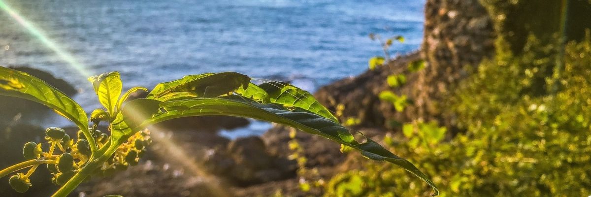 Giresun Turizm Ekonomisi