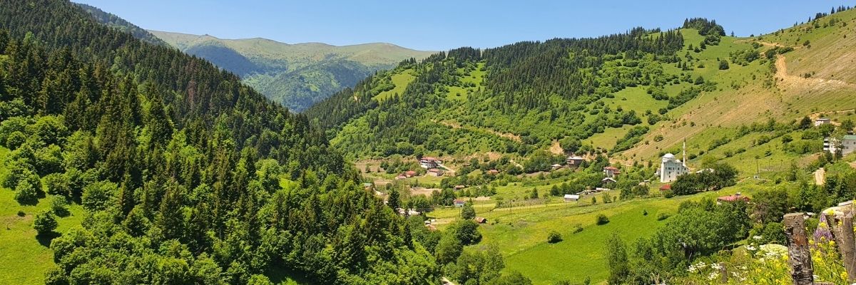 Kulakkaya Yaylası Rehberi